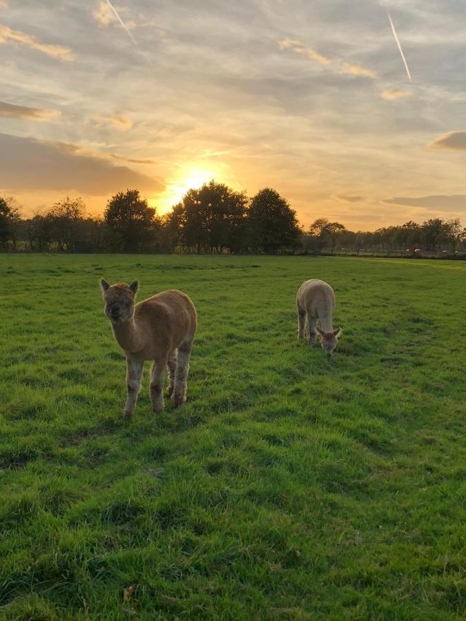 Grutsk Op 12 Bed & Breakfast Drachten Bagian luar foto